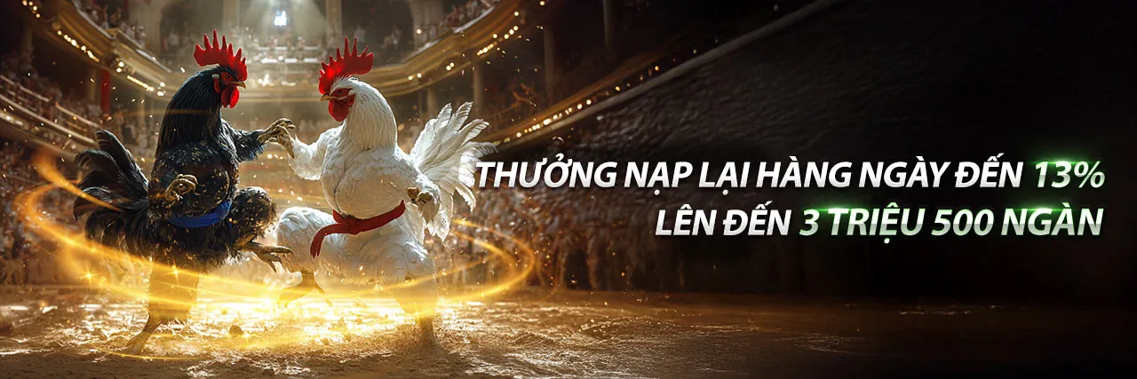 Cá cược thể thao tại lucky88 bet với các trận đấu trực tiếp và sân vận động sôi động